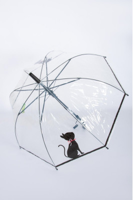 Дитяча парасолька-тростина